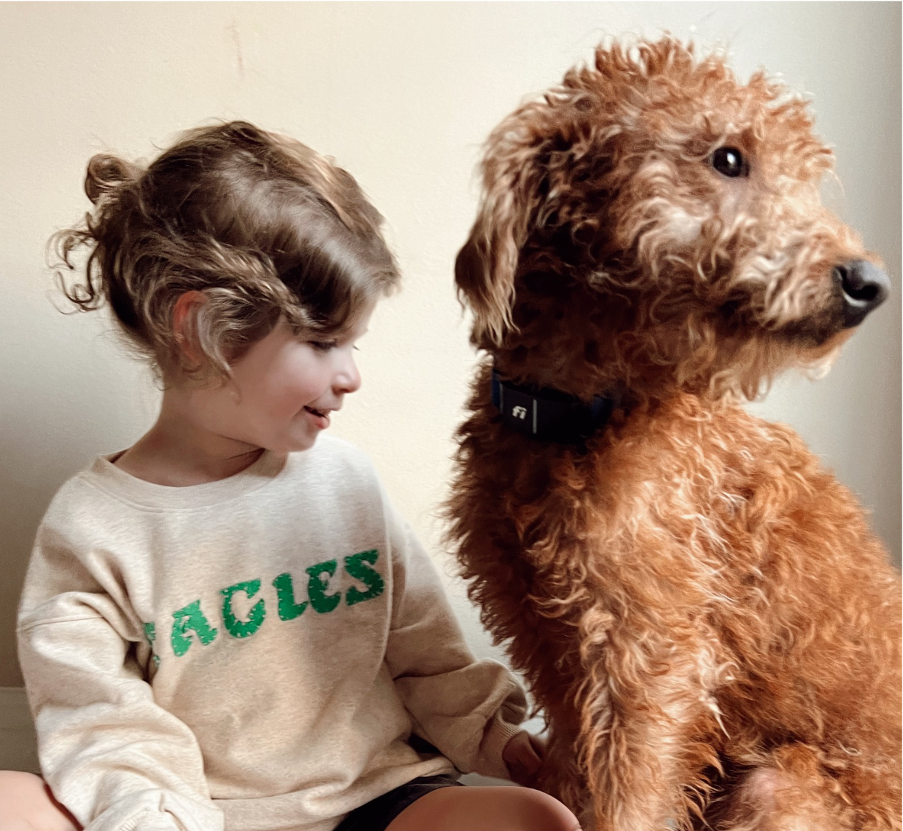 Toddler hand sewn Eagles crewneck
